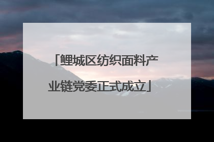 鲤城区纺织面料产业链党委正式成立