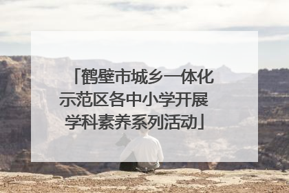 鹤壁市城乡一体化示范区各中小学开展学科素养系列活动