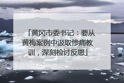 黄冈市委书记：要从黄梅案例中汲取惨痛教训，深刻检讨反思