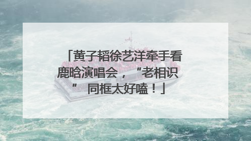 黄子韬徐艺洋牵手看鹿晗演唱会，“老相识” 同框太好嗑！