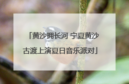 黄沙拥长河 宁夏黄沙古渡上演夏日音乐派对