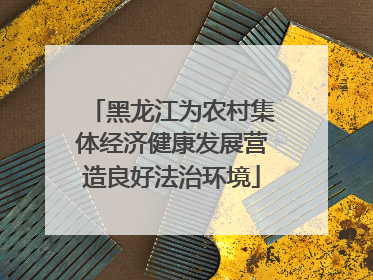 黑龙江为农村集体经济健康发展营造良好法治环境