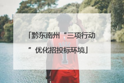 黔东南州“三项行动”优化招投标环境