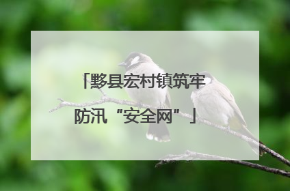 黟县宏村镇筑牢防汛“安全网”
