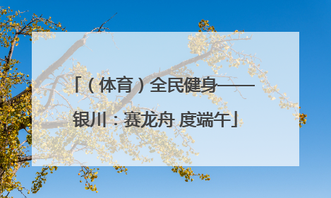 （体育）全民健身——银川：赛龙舟 度端午