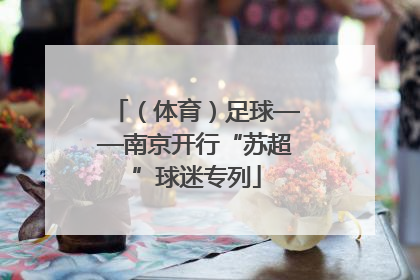 （体育）足球——南京开行“苏超”球迷专列