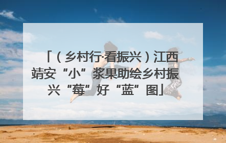（乡村行·看振兴）江西靖安“小”浆果助绘乡村振兴“莓”好“蓝”图