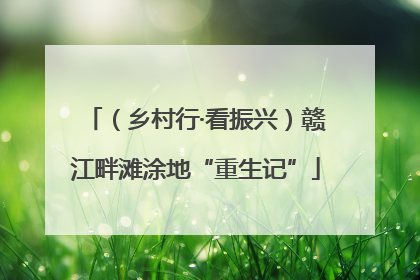 （乡村行·看振兴）赣江畔滩涂地“重生记”