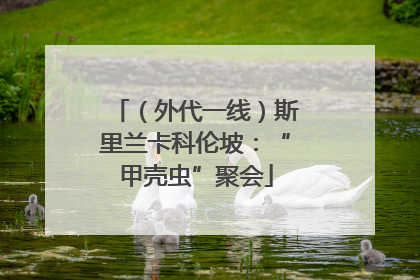 （外代一线）斯里兰卡科伦坡：“甲壳虫”聚会