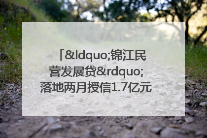 “锦江民营发展贷”落地两月授信1.7亿元，惠及118家民企