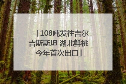108吨发往吉尔吉斯斯坦 湖北鲜桃今年首次出口