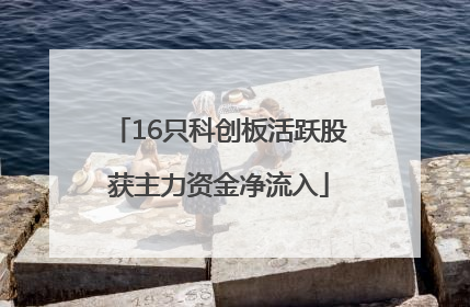 16只科创板活跃股获主力资金净流入