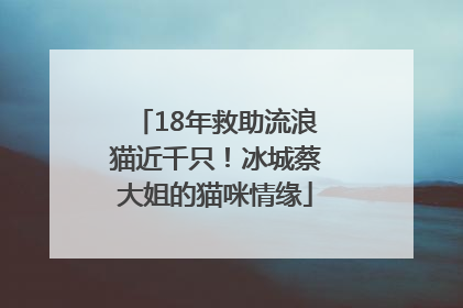 18年救助流浪猫近千只！冰城蔡大姐的猫咪情缘