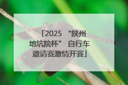 2025 “陕州地坑院杯” 自行车邀请赛激情开赛