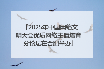2025年中国网络文明大会优质网络主播培育分论坛在合肥举办