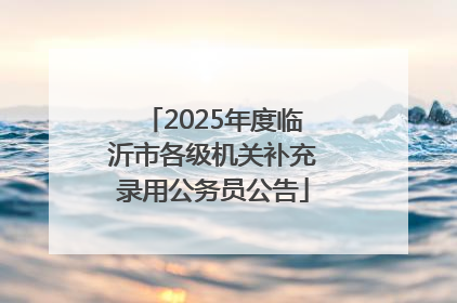 2025年度临沂市各级机关补充录用公务员公告