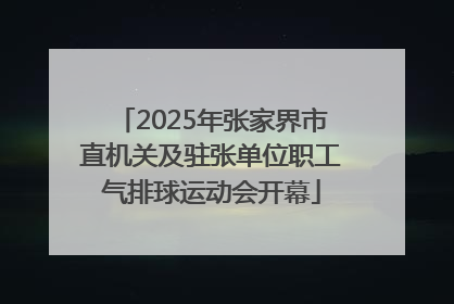 2025年张家界市直机关及驻张单位职工气排球运动会开幕