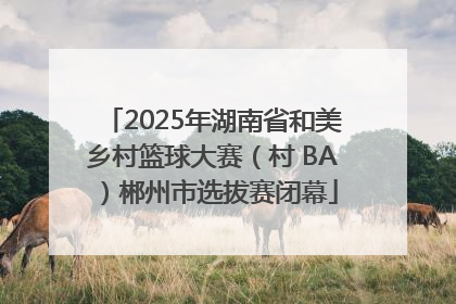 2025年湖南省和美乡村篮球大赛（村 BA）郴州市选拔赛闭幕