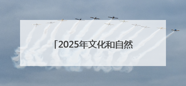 2025年文化和自然遗产日非遗展演展示活动在河北博物院举办
