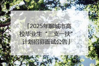 2025年聊城市高校毕业生“三支一扶”计划招募面试公告