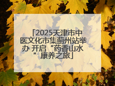 2025天津市中医文化市集蓟州站举办 开启“药香山水”康养之旅