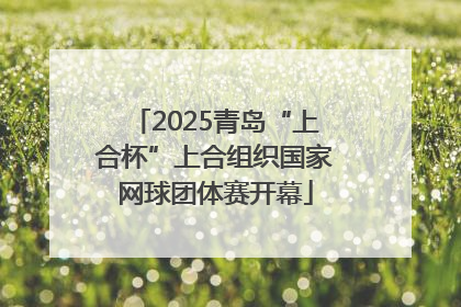 2025青岛“上合杯”上合组织国家网球团体赛开幕