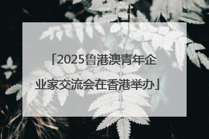 2025鲁港澳青年企业家交流会在香港举办