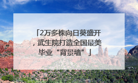 2万多株向日葵盛开，武生院打造全国最美毕业“背景墙”