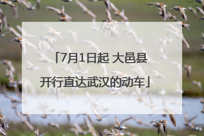 7月1日起 大邑县开行直达武汉的动车