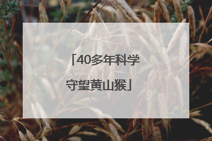 40多年科学守望黄山猴
