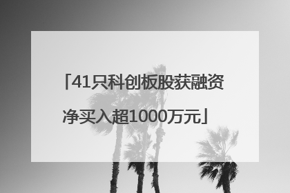 41只科创板股获融资净买入超1000万元