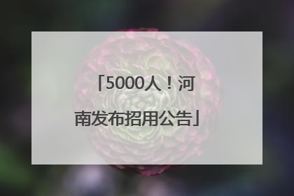 5000人！河南发布招用公告