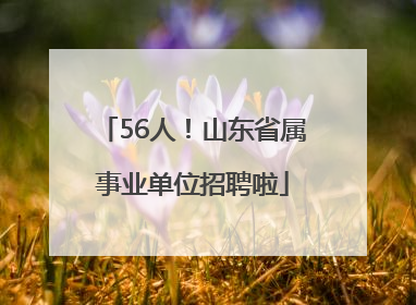 56人！山东省属事业单位招聘啦