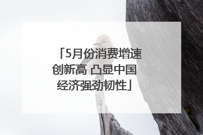 5月份消费增速创新高 凸显中国经济强劲韧性