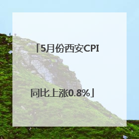 5月份西安CPI同比上涨0.8%