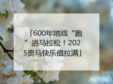 600年地戏“跑”进马拉松！2025贵马快乐值拉满