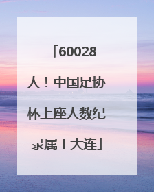 60028人！中国足协杯上座人数纪录属于大连