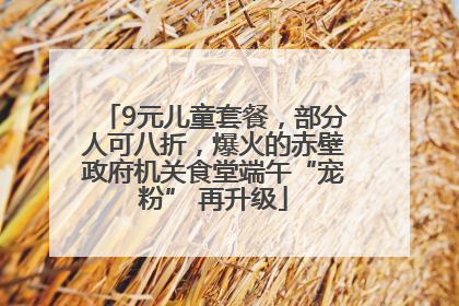 9元儿童套餐，部分人可八折，爆火的赤壁政府机关食堂端午“宠粉” 再升级