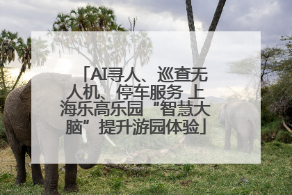 AI寻人、巡查无人机、停车服务 上海乐高乐园“智慧大脑”提升游园体验