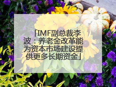IMF副总裁李波：养老金改革能为资本市场建设提供更多长期资金