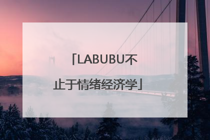 LABUBU不止于情绪经济学