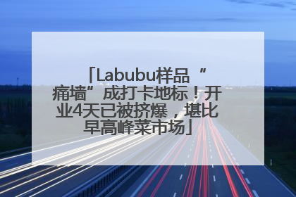 Labubu样品“痛墙”成打卡地标！开业4天已被挤爆，堪比早高峰菜市场
